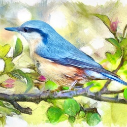 FAUNE