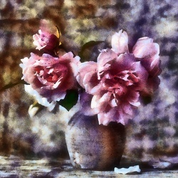 FLORE